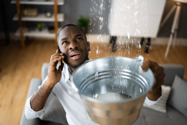 Best Water damage cleanup near me  in Winfield, TN