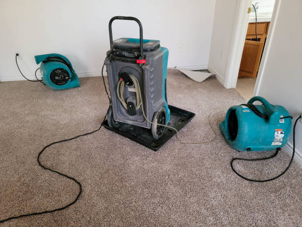 Best Water damage restoration near me  in Winfield, TN