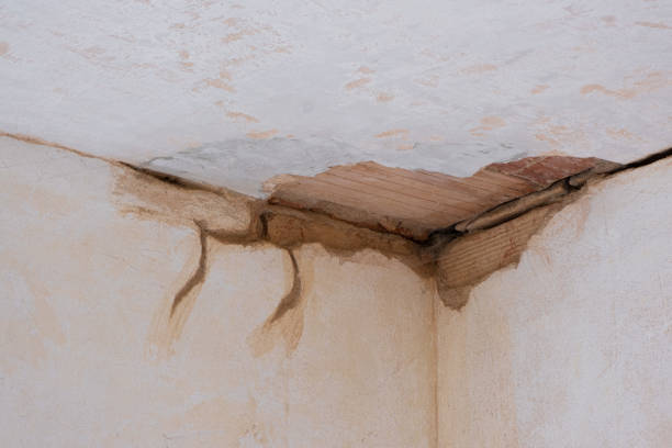 Winfield, TN Water damage restoration Pros