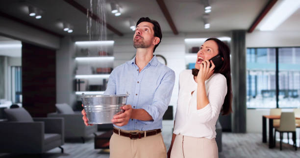 Best Water damage restoration experts  in Winfield, TN