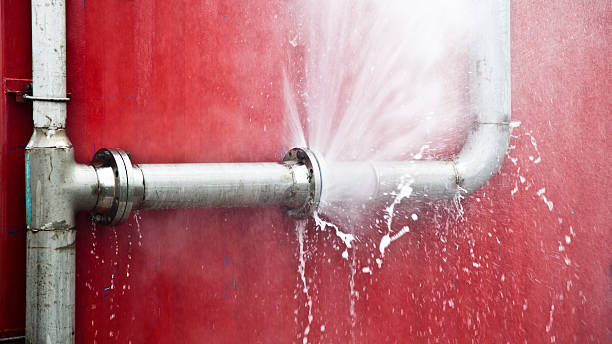 Best Flooded house restoration  in Winfield, TN
